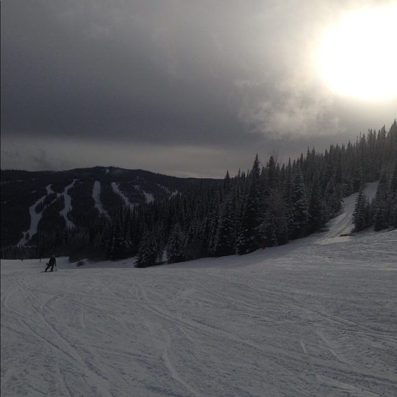 Meet your Posher, Phiphi - Picture 1 of 1